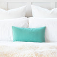 Load image into Gallery viewer, The 2-Pet Portrait Lumbar Pillow Cover
